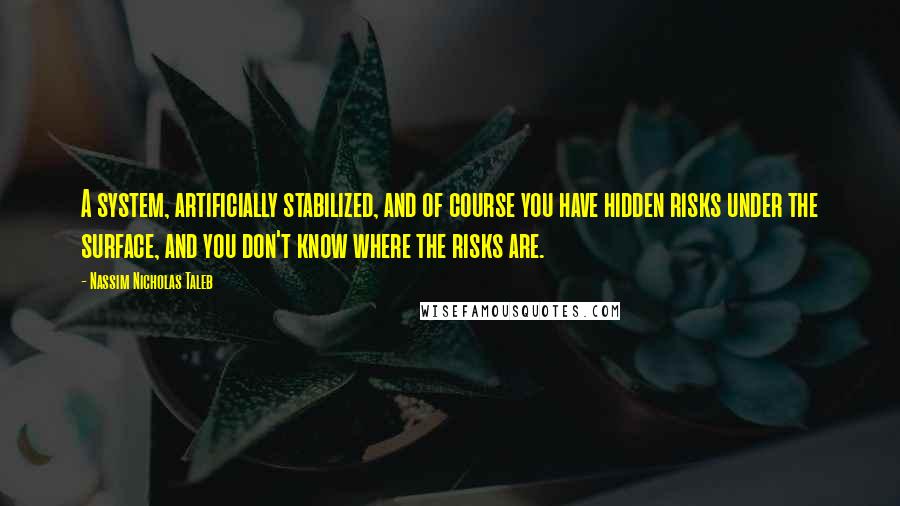 Nassim Nicholas Taleb Quotes: A system, artificially stabilized, and of course you have hidden risks under the surface, and you don't know where the risks are.