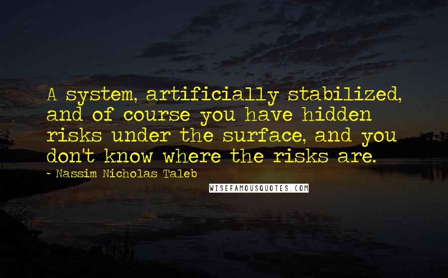 Nassim Nicholas Taleb Quotes: A system, artificially stabilized, and of course you have hidden risks under the surface, and you don't know where the risks are.