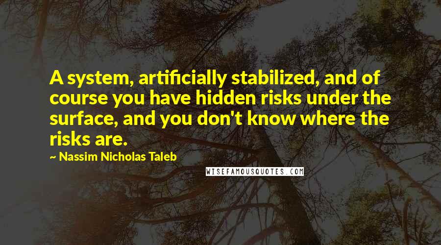 Nassim Nicholas Taleb Quotes: A system, artificially stabilized, and of course you have hidden risks under the surface, and you don't know where the risks are.