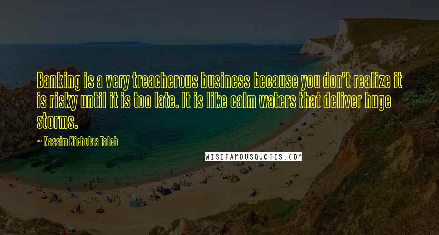Nassim Nicholas Taleb Quotes: Banking is a very treacherous business because you don't realize it is risky until it is too late. It is like calm waters that deliver huge storms.