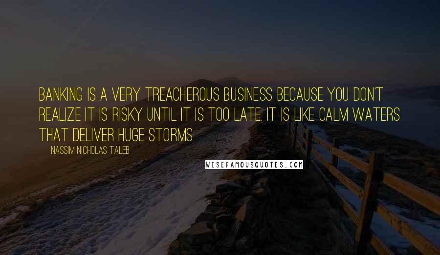 Nassim Nicholas Taleb Quotes: Banking is a very treacherous business because you don't realize it is risky until it is too late. It is like calm waters that deliver huge storms.