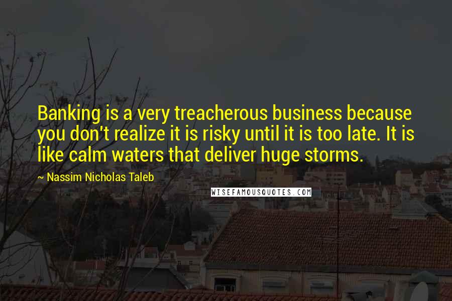 Nassim Nicholas Taleb Quotes: Banking is a very treacherous business because you don't realize it is risky until it is too late. It is like calm waters that deliver huge storms.