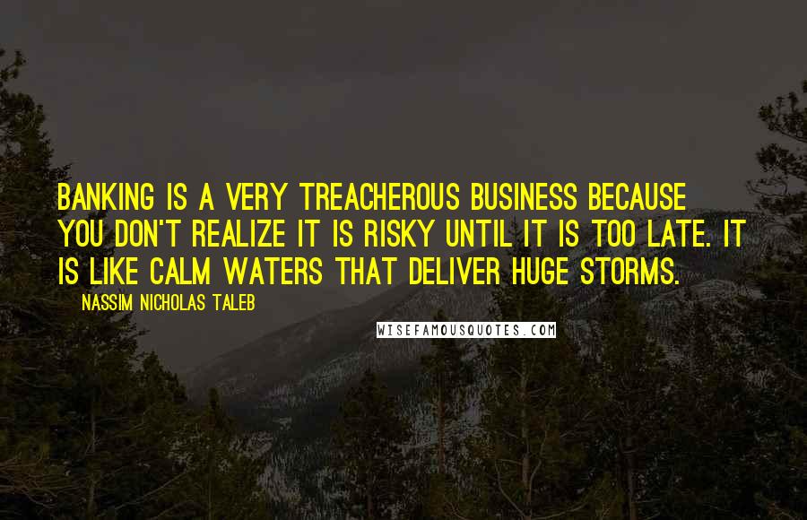 Nassim Nicholas Taleb Quotes: Banking is a very treacherous business because you don't realize it is risky until it is too late. It is like calm waters that deliver huge storms.