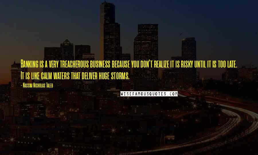 Nassim Nicholas Taleb Quotes: Banking is a very treacherous business because you don't realize it is risky until it is too late. It is like calm waters that deliver huge storms.