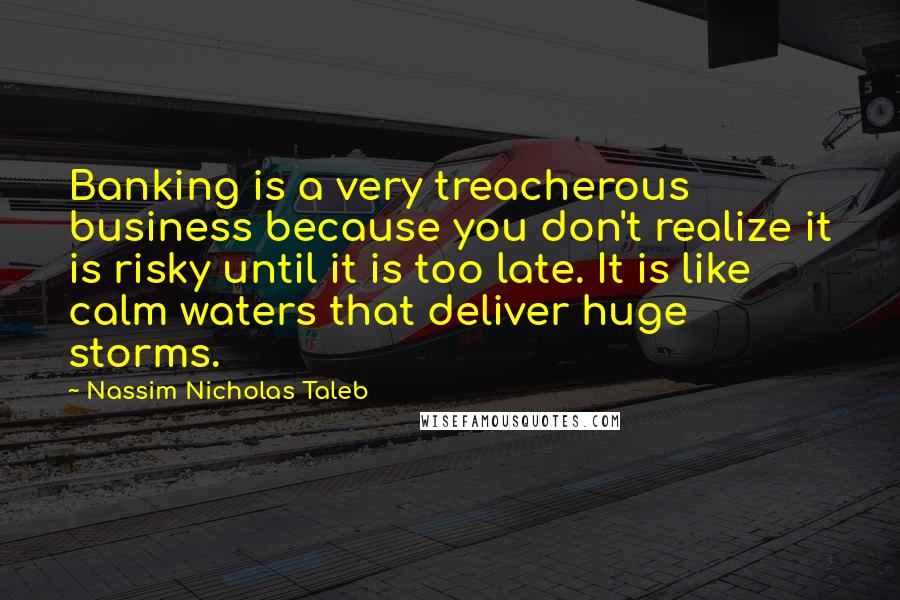 Nassim Nicholas Taleb Quotes: Banking is a very treacherous business because you don't realize it is risky until it is too late. It is like calm waters that deliver huge storms.