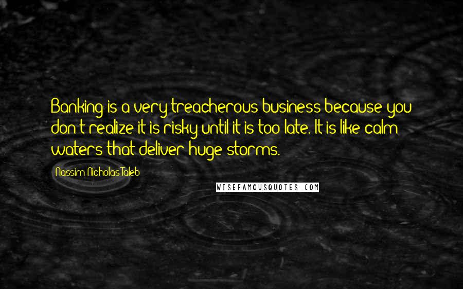 Nassim Nicholas Taleb Quotes: Banking is a very treacherous business because you don't realize it is risky until it is too late. It is like calm waters that deliver huge storms.