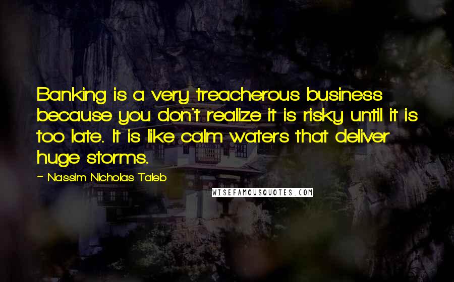 Nassim Nicholas Taleb Quotes: Banking is a very treacherous business because you don't realize it is risky until it is too late. It is like calm waters that deliver huge storms.