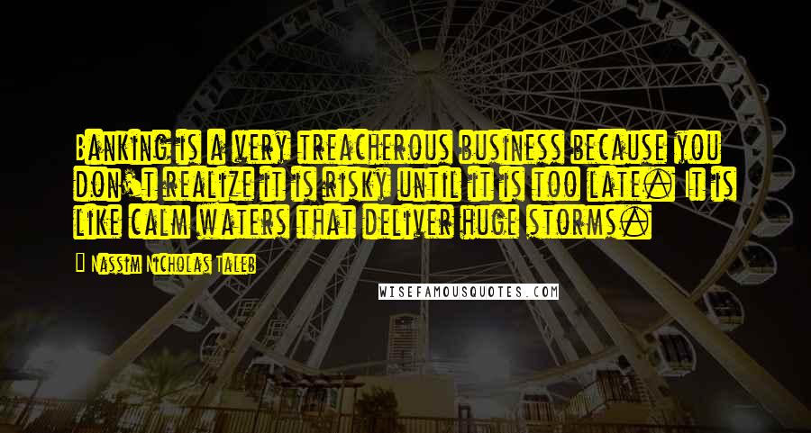 Nassim Nicholas Taleb Quotes: Banking is a very treacherous business because you don't realize it is risky until it is too late. It is like calm waters that deliver huge storms.