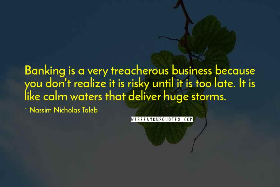 Nassim Nicholas Taleb Quotes: Banking is a very treacherous business because you don't realize it is risky until it is too late. It is like calm waters that deliver huge storms.