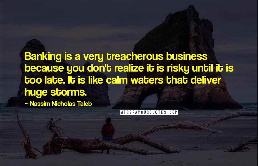 Nassim Nicholas Taleb Quotes: Banking is a very treacherous business because you don't realize it is risky until it is too late. It is like calm waters that deliver huge storms.