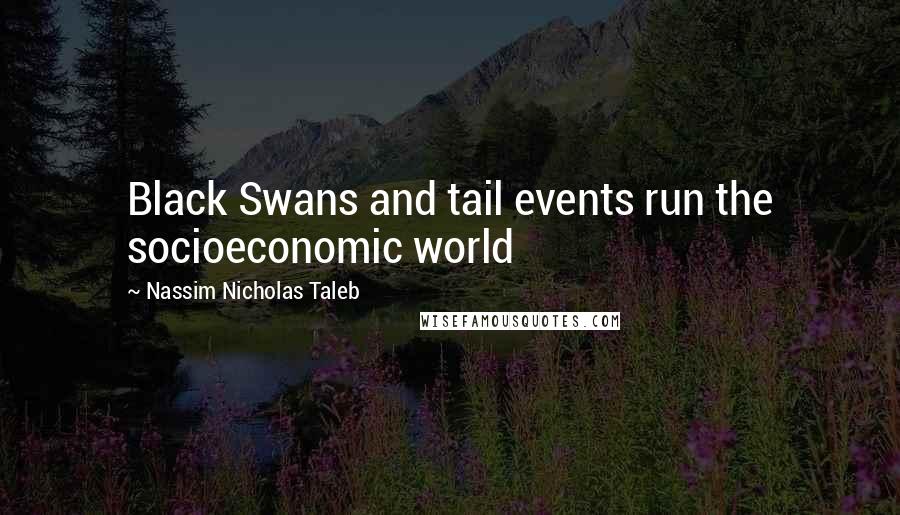 Nassim Nicholas Taleb Quotes: Black Swans and tail events run the socioeconomic world