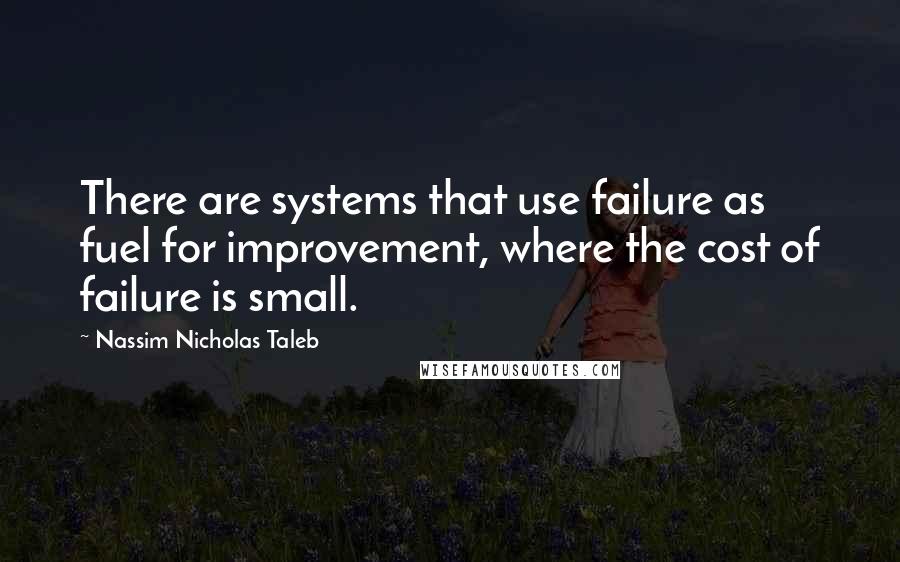 Nassim Nicholas Taleb Quotes: There are systems that use failure as fuel for improvement, where the cost of failure is small.