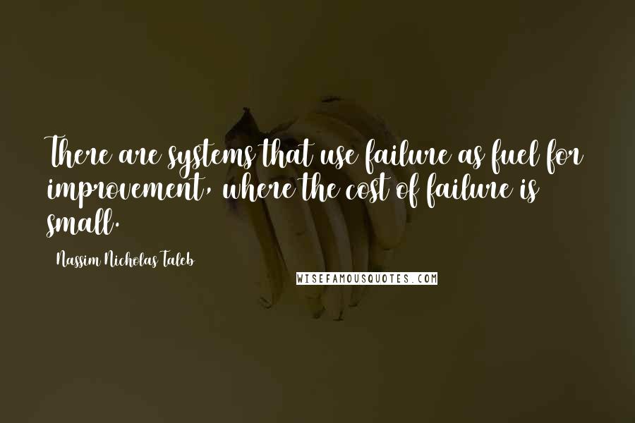 Nassim Nicholas Taleb Quotes: There are systems that use failure as fuel for improvement, where the cost of failure is small.