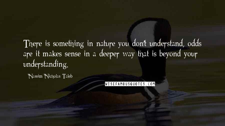 Nassim Nicholas Taleb Quotes: There is something in nature you don't understand, odds are it makes sense in a deeper way that is beyond your understanding.