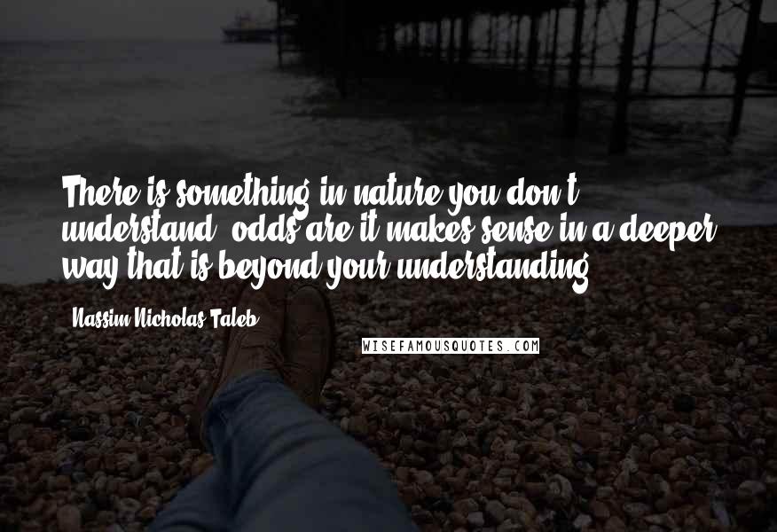 Nassim Nicholas Taleb Quotes: There is something in nature you don't understand, odds are it makes sense in a deeper way that is beyond your understanding.