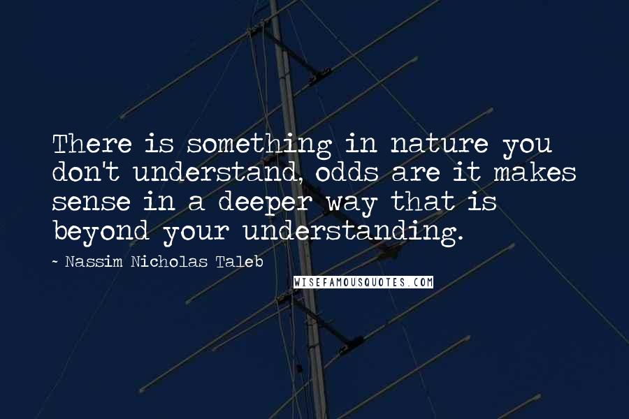 Nassim Nicholas Taleb Quotes: There is something in nature you don't understand, odds are it makes sense in a deeper way that is beyond your understanding.