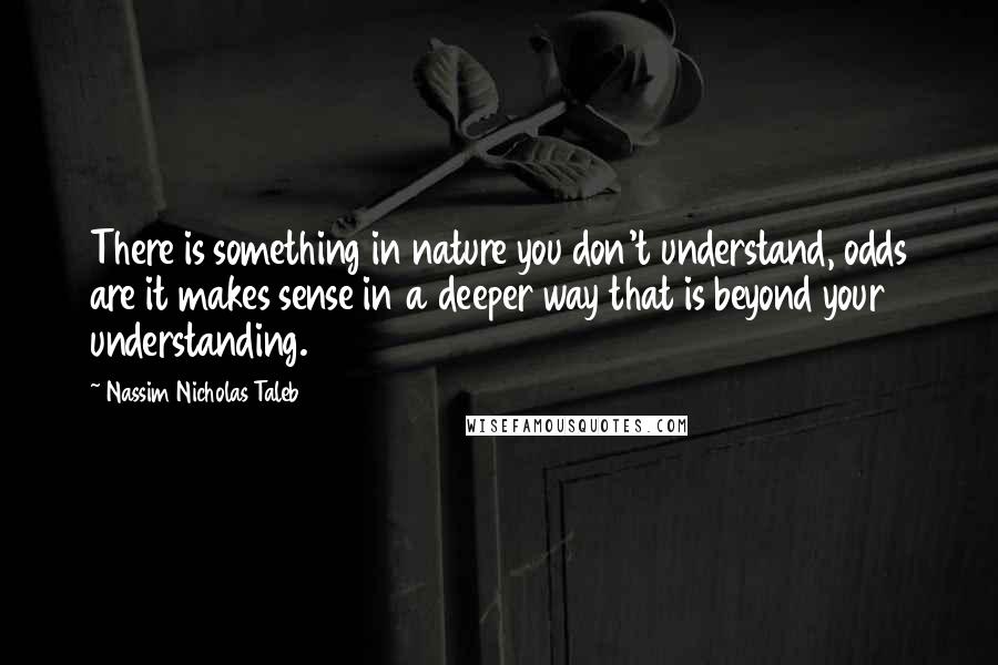 Nassim Nicholas Taleb Quotes: There is something in nature you don't understand, odds are it makes sense in a deeper way that is beyond your understanding.