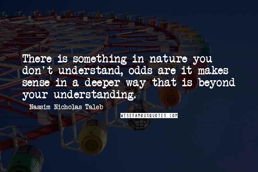 Nassim Nicholas Taleb Quotes: There is something in nature you don't understand, odds are it makes sense in a deeper way that is beyond your understanding.