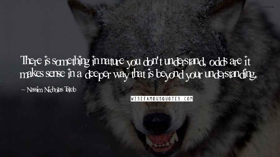 Nassim Nicholas Taleb Quotes: There is something in nature you don't understand, odds are it makes sense in a deeper way that is beyond your understanding.