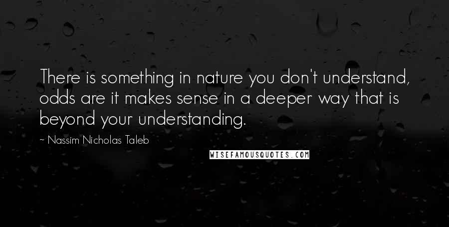 Nassim Nicholas Taleb Quotes: There is something in nature you don't understand, odds are it makes sense in a deeper way that is beyond your understanding.