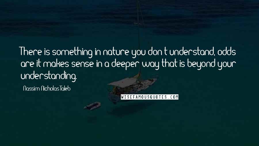 Nassim Nicholas Taleb Quotes: There is something in nature you don't understand, odds are it makes sense in a deeper way that is beyond your understanding.