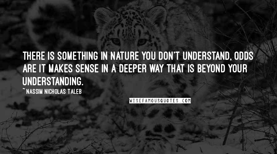 Nassim Nicholas Taleb Quotes: There is something in nature you don't understand, odds are it makes sense in a deeper way that is beyond your understanding.