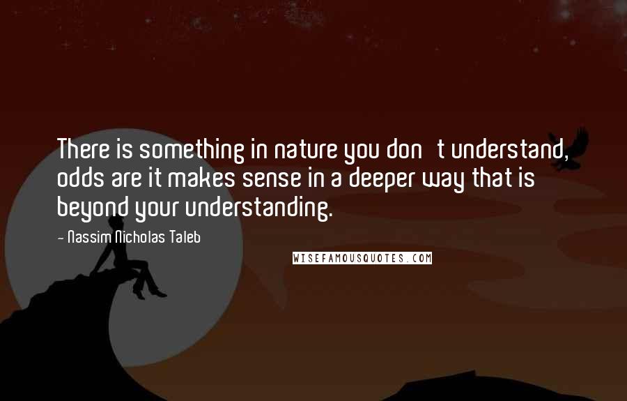 Nassim Nicholas Taleb Quotes: There is something in nature you don't understand, odds are it makes sense in a deeper way that is beyond your understanding.