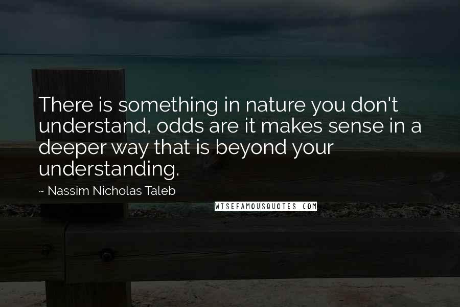 Nassim Nicholas Taleb Quotes: There is something in nature you don't understand, odds are it makes sense in a deeper way that is beyond your understanding.