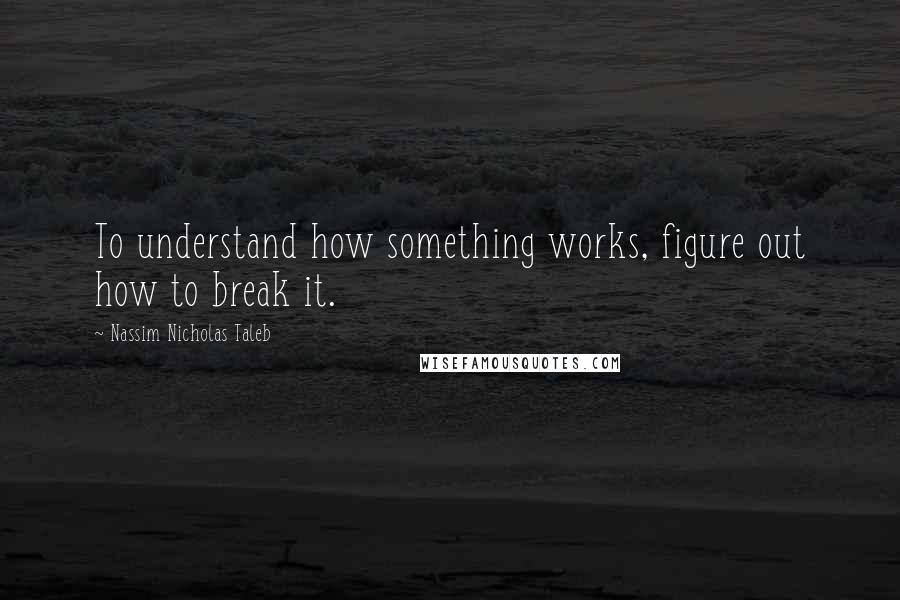 Nassim Nicholas Taleb Quotes: To understand how something works, figure out how to break it.