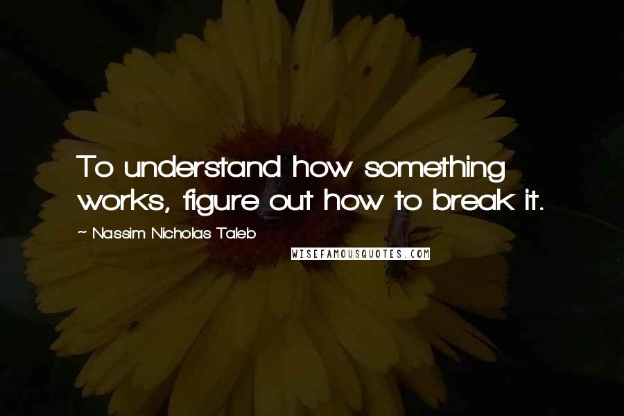 Nassim Nicholas Taleb Quotes: To understand how something works, figure out how to break it.
