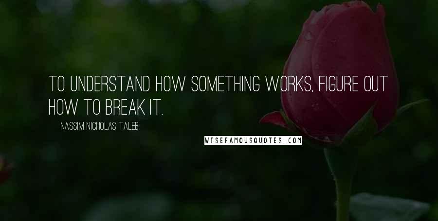 Nassim Nicholas Taleb Quotes: To understand how something works, figure out how to break it.