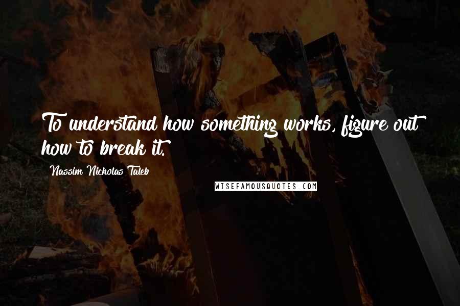 Nassim Nicholas Taleb Quotes: To understand how something works, figure out how to break it.