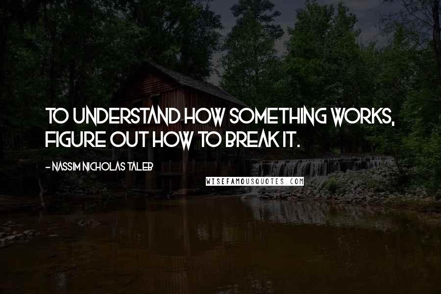 Nassim Nicholas Taleb Quotes: To understand how something works, figure out how to break it.