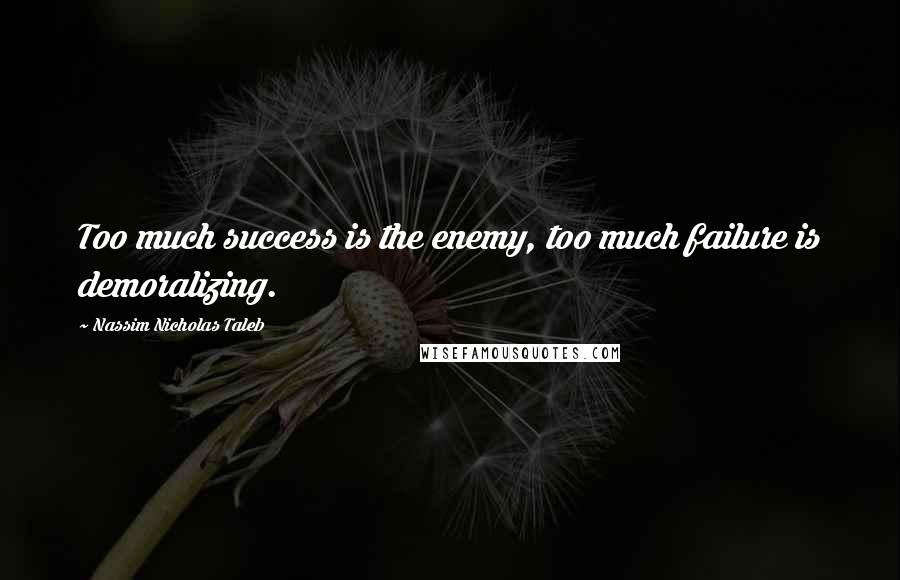 Nassim Nicholas Taleb Quotes: Too much success is the enemy, too much failure is demoralizing.