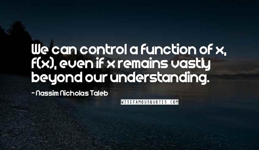 Nassim Nicholas Taleb Quotes: We can control a function of x, f(x), even if x remains vastly beyond our understanding.