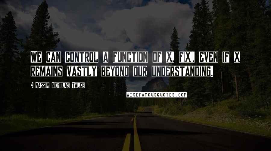 Nassim Nicholas Taleb Quotes: We can control a function of x, f(x), even if x remains vastly beyond our understanding.