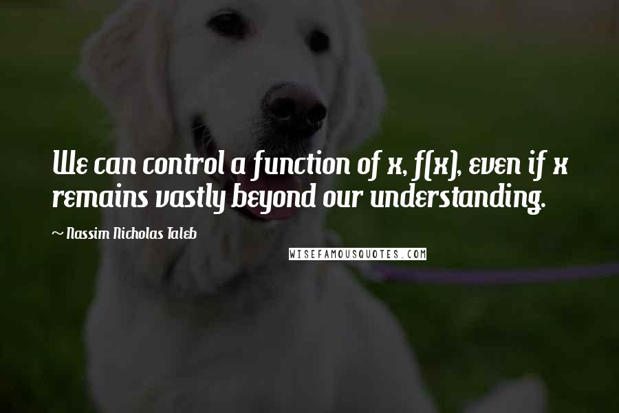 Nassim Nicholas Taleb Quotes: We can control a function of x, f(x), even if x remains vastly beyond our understanding.