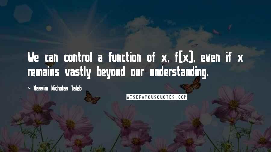Nassim Nicholas Taleb Quotes: We can control a function of x, f(x), even if x remains vastly beyond our understanding.