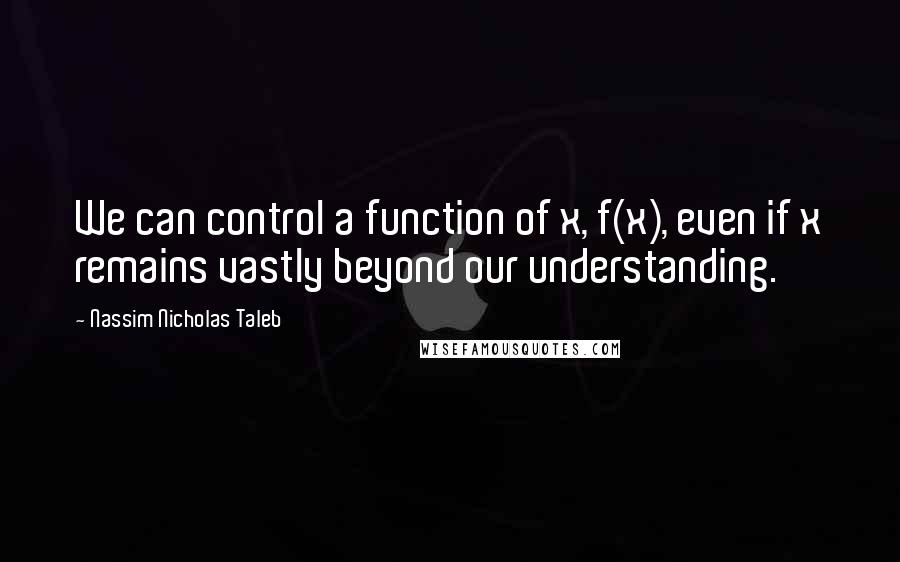 Nassim Nicholas Taleb Quotes: We can control a function of x, f(x), even if x remains vastly beyond our understanding.