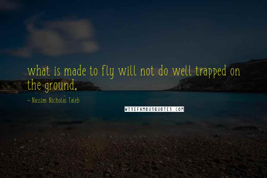 Nassim Nicholas Taleb Quotes: what is made to fly will not do well trapped on the ground,
