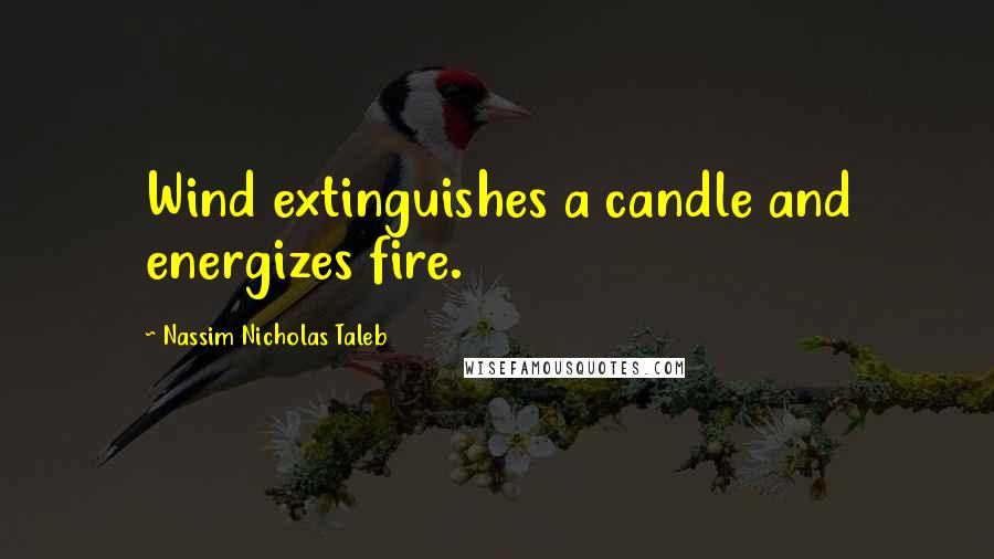 Nassim Nicholas Taleb Quotes: Wind extinguishes a candle and energizes fire.