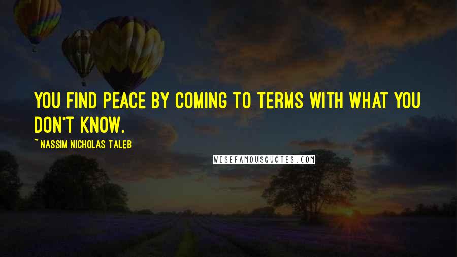 Nassim Nicholas Taleb Quotes: You find peace by coming to terms with what you don't know.