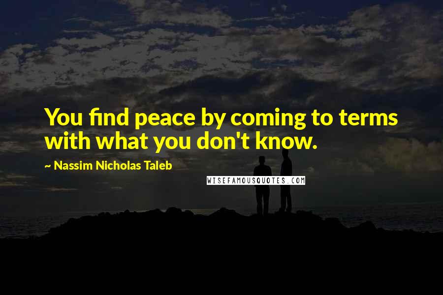 Nassim Nicholas Taleb Quotes: You find peace by coming to terms with what you don't know.