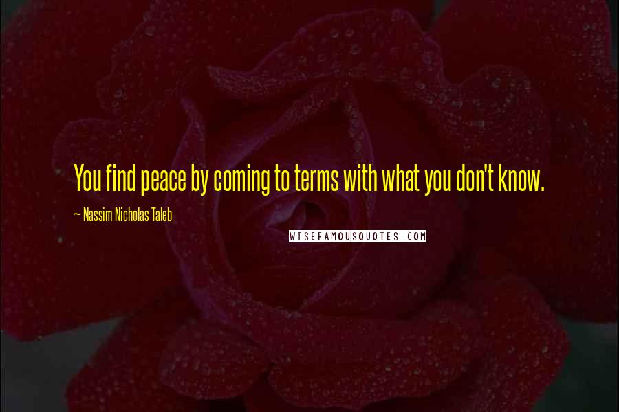 Nassim Nicholas Taleb Quotes: You find peace by coming to terms with what you don't know.