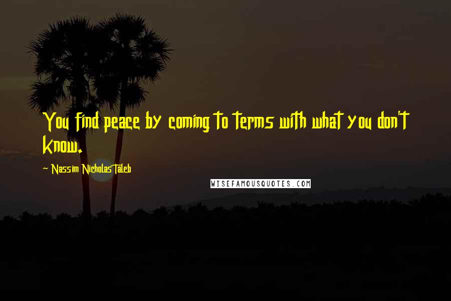 Nassim Nicholas Taleb Quotes: You find peace by coming to terms with what you don't know.