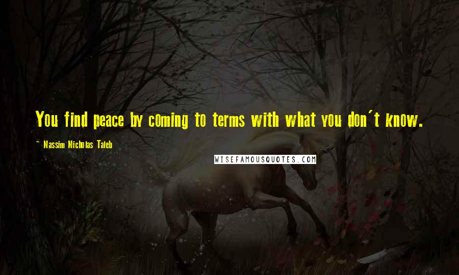 Nassim Nicholas Taleb Quotes: You find peace by coming to terms with what you don't know.