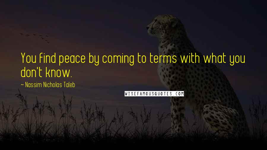 Nassim Nicholas Taleb Quotes: You find peace by coming to terms with what you don't know.