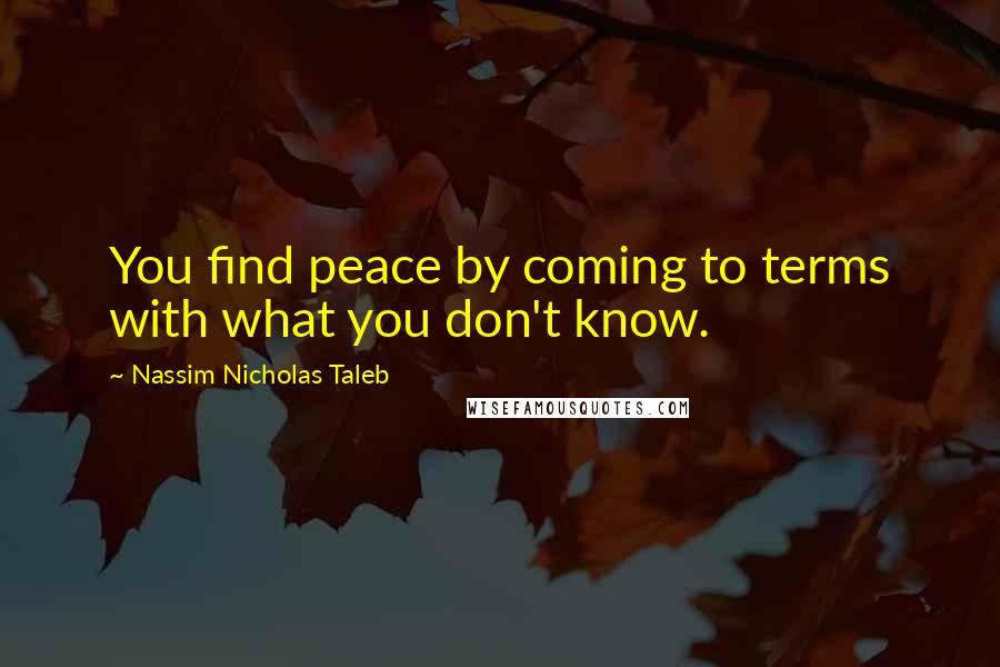 Nassim Nicholas Taleb Quotes: You find peace by coming to terms with what you don't know.