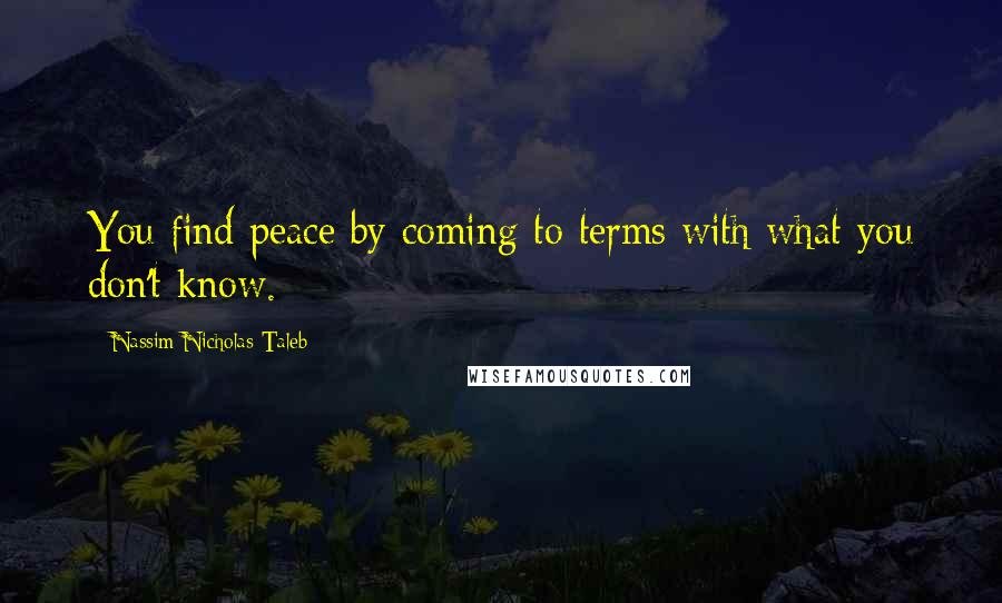 Nassim Nicholas Taleb Quotes: You find peace by coming to terms with what you don't know.