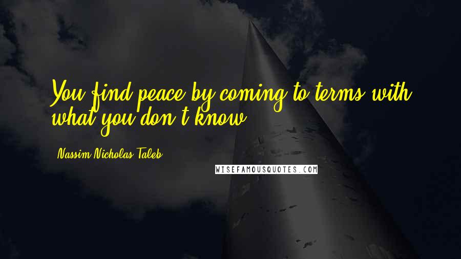 Nassim Nicholas Taleb Quotes: You find peace by coming to terms with what you don't know.